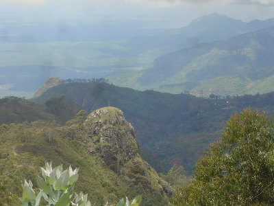 Seguruma13.jpg (106721 bytes)