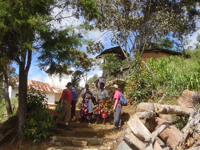 Seguruma5.jpg (174220 bytes)