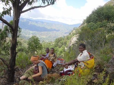 Seguruma6.jpg (145682 bytes)