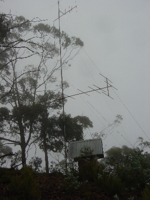 Seguruma8.jpg (109542 bytes)