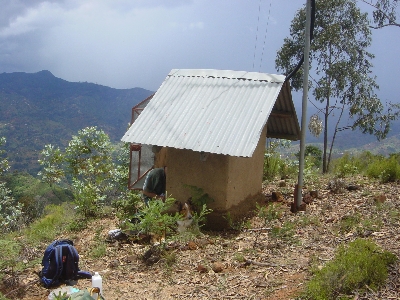 Seguruma9.jpg (140577 bytes)