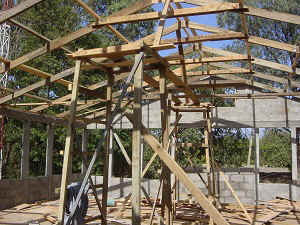 DSC02917.jpg (61484 bytes)