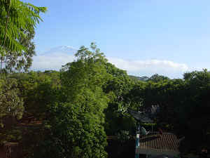 DSC07223.jpg (35494 bytes)