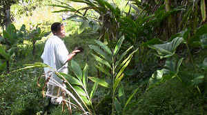 20110929_132827.jpg (44657 Byte)