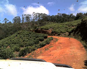 29-09-11_1348.jpg (62374 Byte)