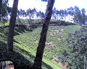 29-09-11_1353.jpg (74074 Byte)