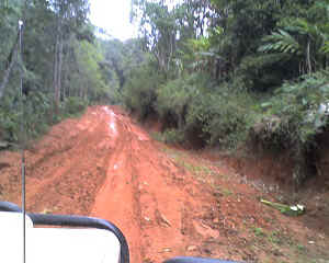 29-09-11_1710.jpg (60786 Byte)