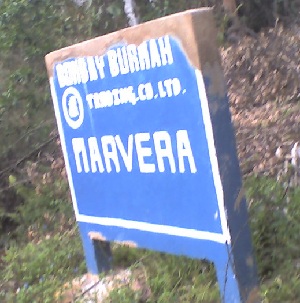 MAVERA.JPG (44460 bytes)