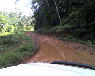 23-11-12_1023.JPG (24126 Byte)