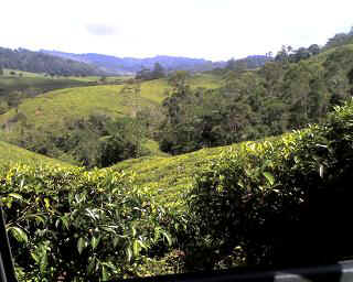 23-11-12_1030.JPG (30817 Byte)