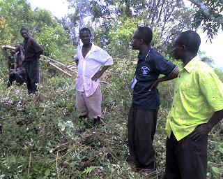 23-11-12_1208.JPG (39565 Byte)