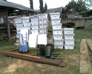 07-08-14_0828.jpg (65538 bytes)