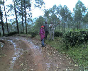 07-08-14_1028.jpg (70953 bytes)