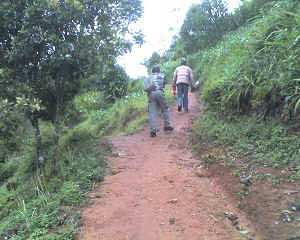 07-08-14_1142.jpg (71525 bytes)