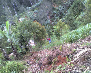 07-08-14_1151.jpg (81875 bytes)