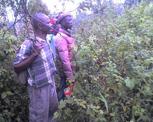 07-08-14_1152.jpg (77087 bytes)