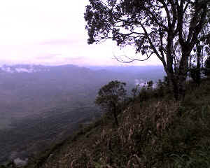 07-08-14_1204.jpg (57599 bytes)