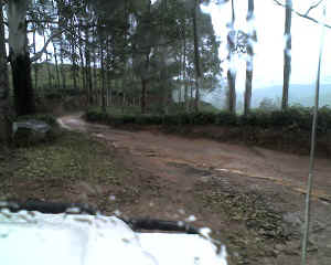 07-08-14_1310.jpg (57527 bytes)