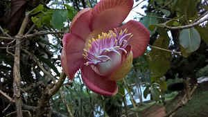 WP_20170110_18_34_00_Pro.jpg (92415 bytes)