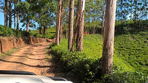 WP_20170111_09_19_54_Pro.jpg (101160 bytes)