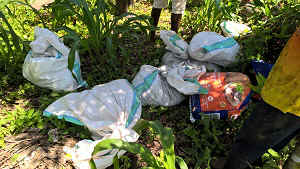 WP_20170111_11_20_14_Pro.jpg (100920 bytes)