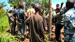 WP_20170111_12_27_04_Pro.jpg (103526 bytes)