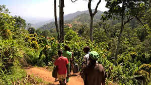 WP_20170111_14_21_07_Pro.jpg (99889 bytes)