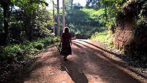 WP_20170112_08_30_08_Pro.jpg (97676 bytes)