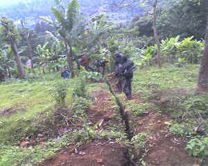 02-06-16_1105.jpg (75682 Byte)