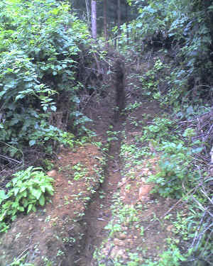 02-06-16_1106.jpg (90383 Byte)