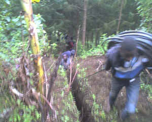 02-06-16_1110.jpg (64297 Byte)