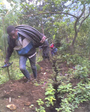 02-06-16_1112.jpg (77224 Byte)