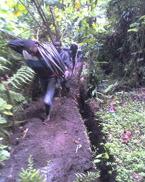 02-06-16_1230.jpg (86842 Byte)