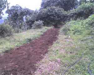 02-06-16_1403.jpg (71676 Byte)