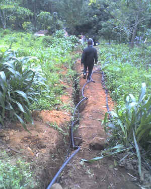 02-06-16_1448.jpg (84063 Byte)