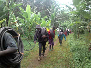 P_20160602_105443.jpg (65887 Byte)