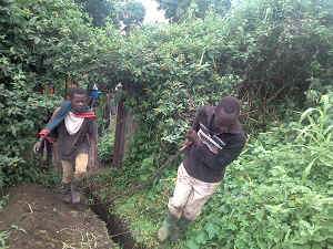 P_20160602_124044.jpg (72672 Byte)