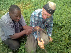 P_20160602_130124.jpg (78478 Byte)