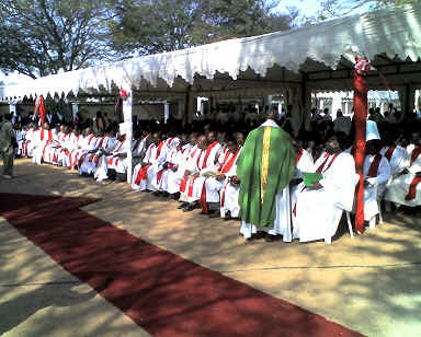 Dodoma6.jpg (99281 Byte)