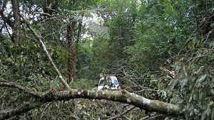 WP_20170216_11_19_35_Pro.jpg (100121 Byte)