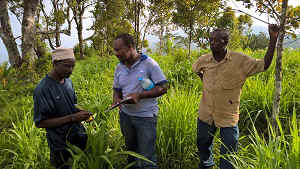 WP_20170222_16_46_37_Pro.jpg (100830 Byte)