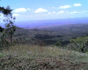 16-09-11_1229.jpg (58767 bytes)