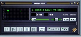 Winamp.jpg (17449 Byte)