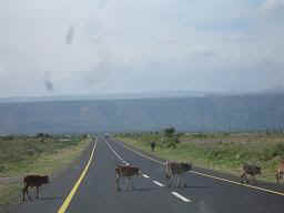 Karatu5.JPG (16541 Byte)