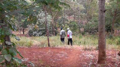 Karatu3b.JPG (45585 Byte)