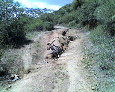 Kibaya9.JPG (43691 Byte)