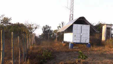 Kibaya6.JPG (29378 Byte)