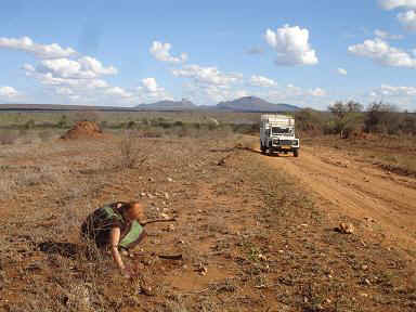 Kibaya14.JPG (15693 Byte)