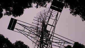 IMAG3562.jpg (37920 Byte)