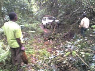 Kidia1.JPG (27477 Byte)